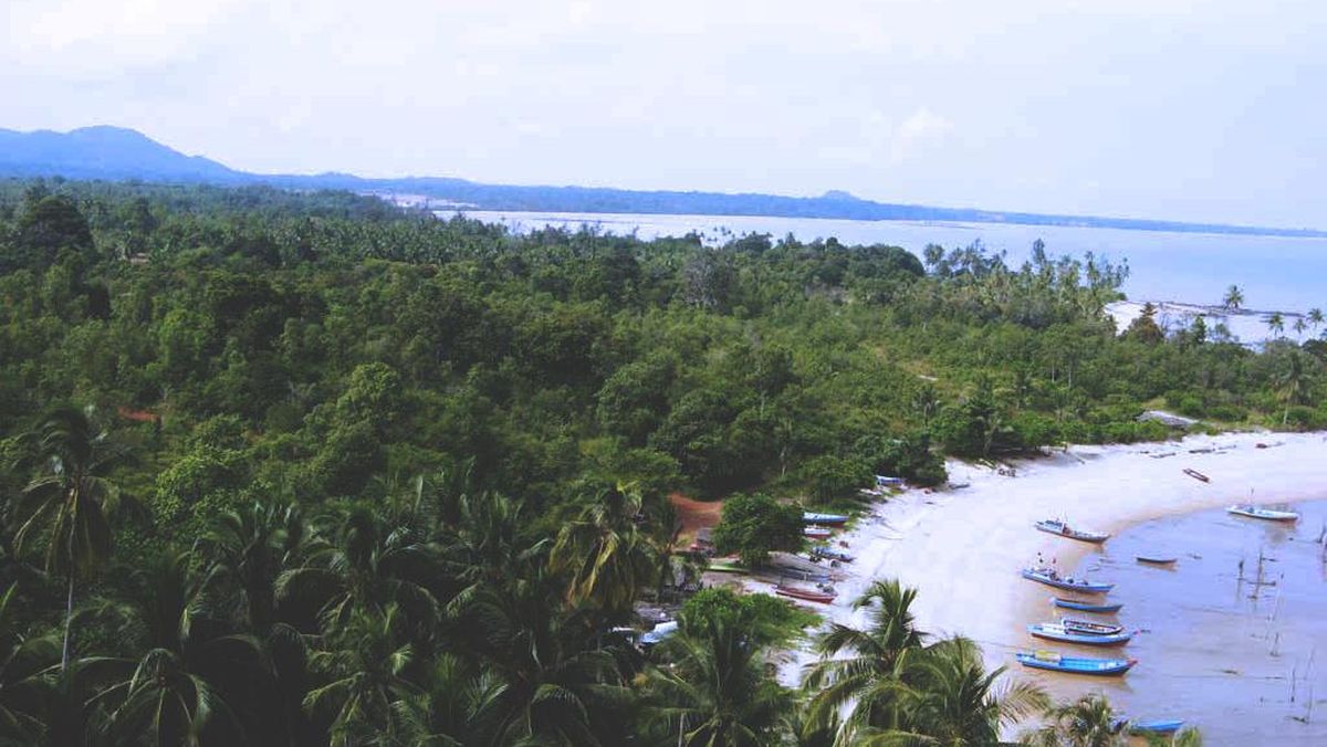 Blog Image