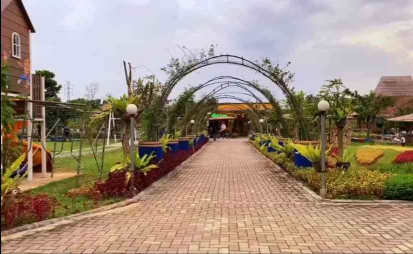 Blog Image