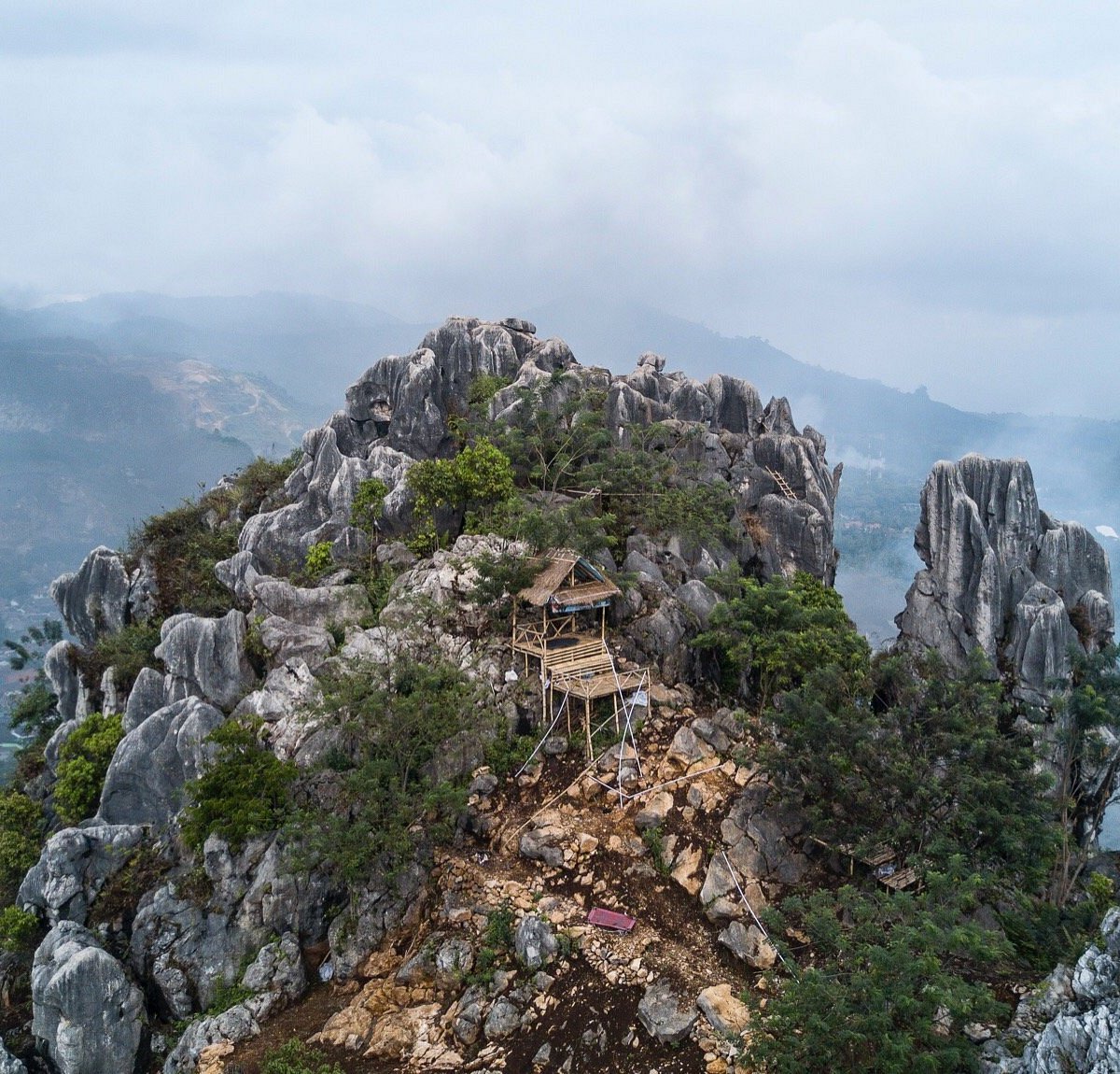 Blog Image