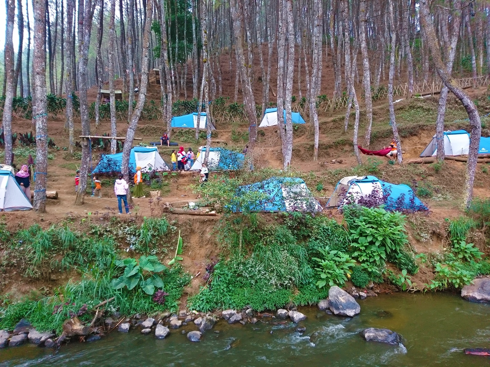 Blog Image