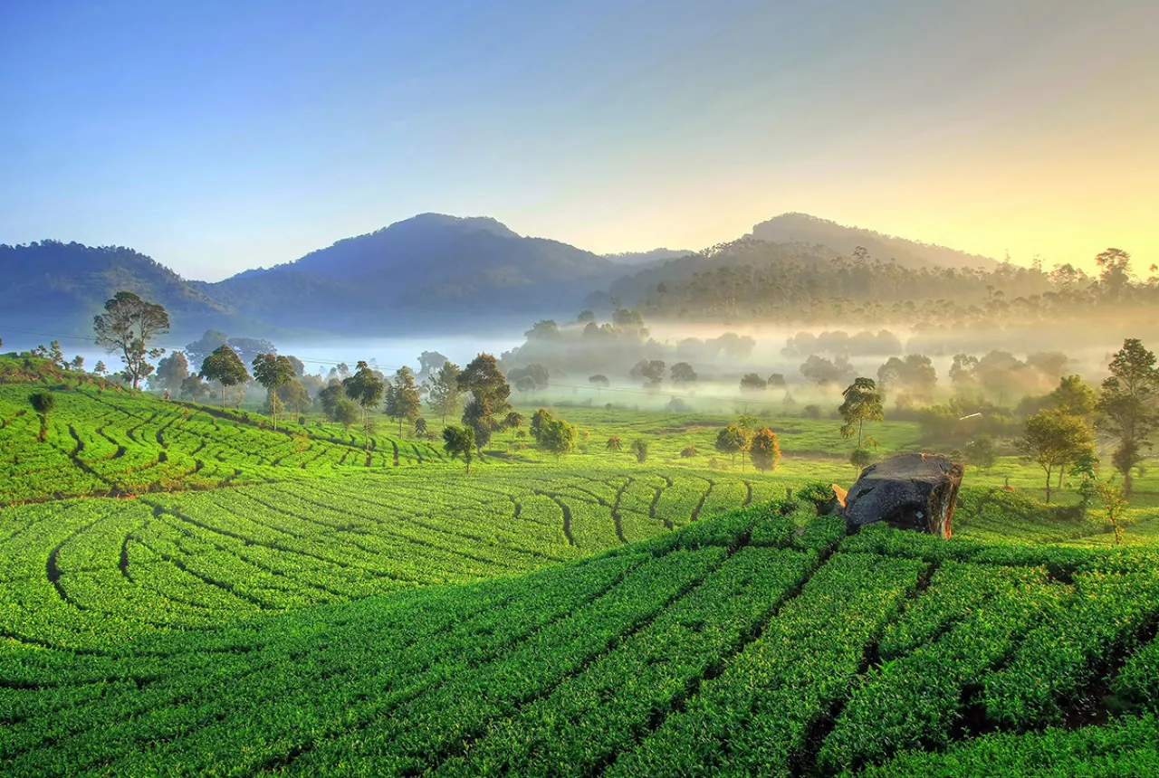 Desa-Desa Tersembunyi di Lereng Selatan Bandung: Surga Kecil ...