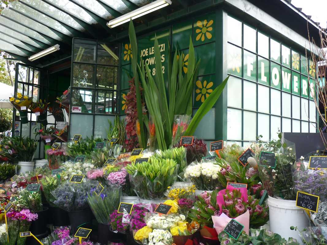 Blog Image